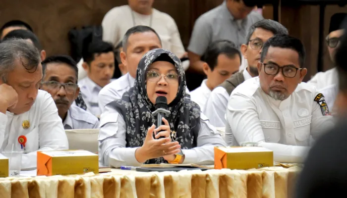 Bupati Siak Afni Z Sebut, Dana Perbantuan 230 Triliun Kesempatan Besar Tingkatkan Infrastruktur